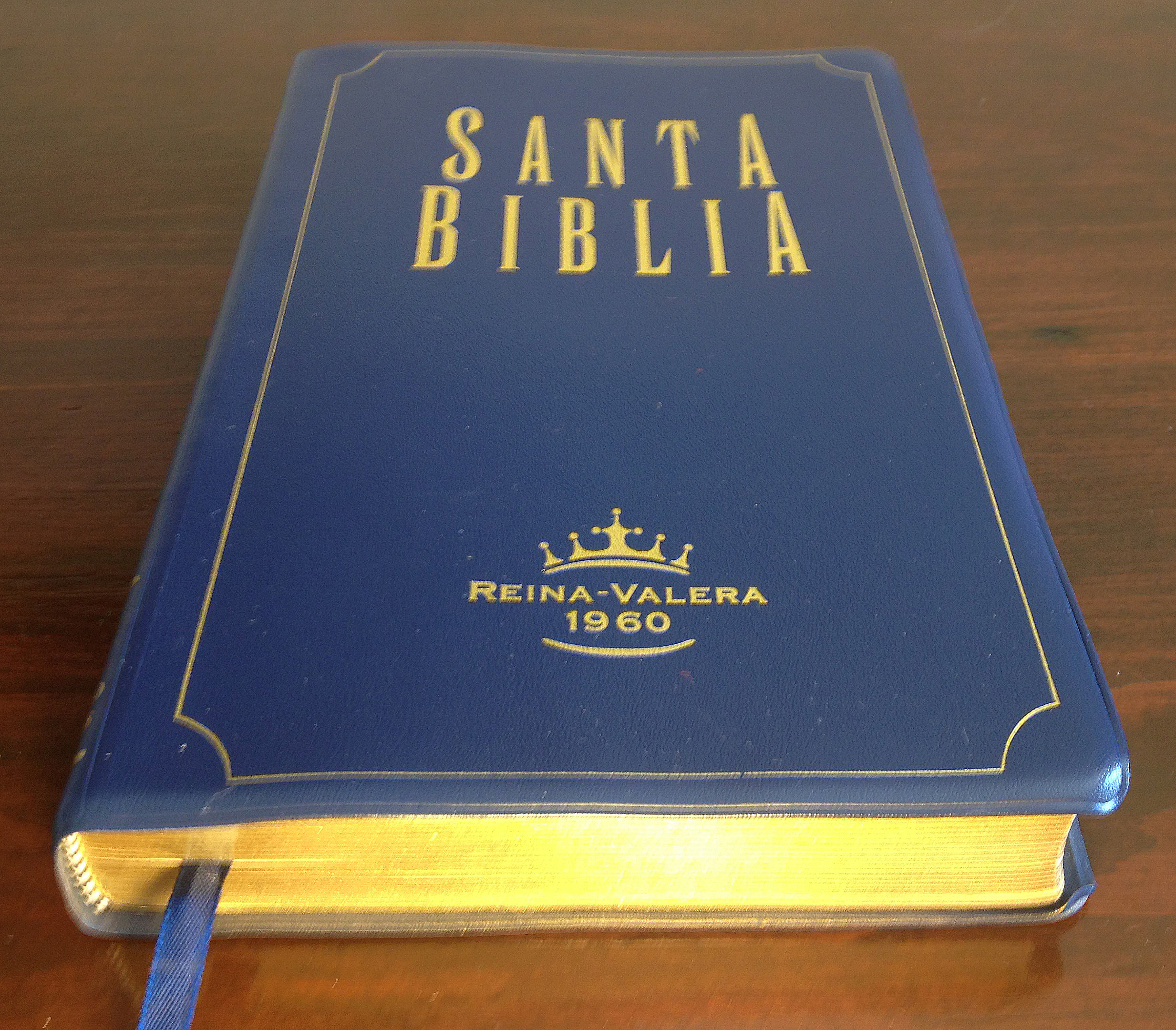 biblia renacer reina valera 1960 pdf